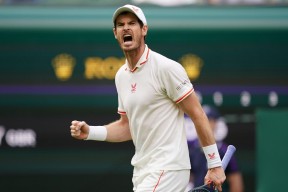 九游体育-包含穆雷迎来十赛季高光表现，瑞士队球迷沸腾！的词条